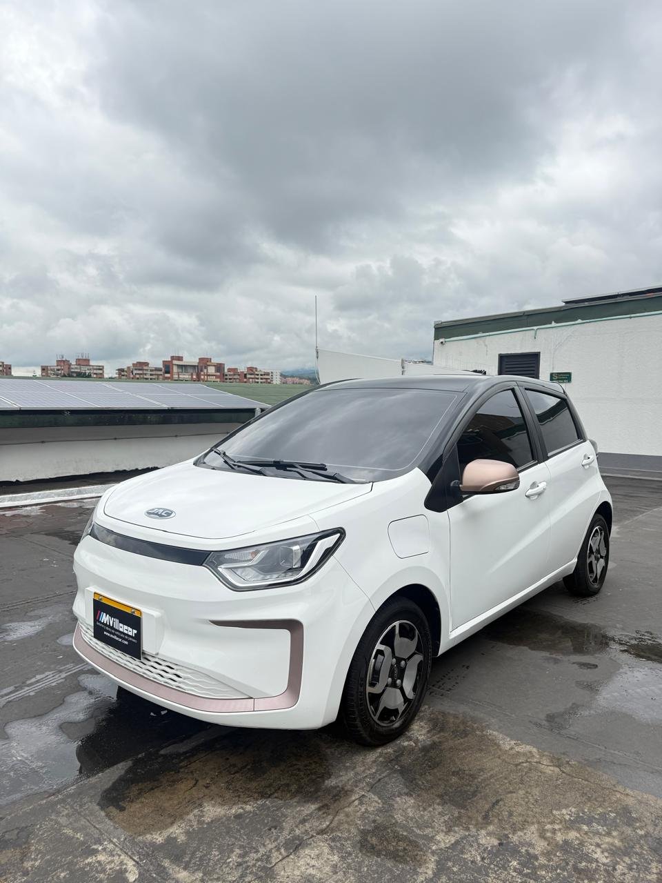 WhatsApp Image 2025-12-26 at 1.22.17 PM (1)