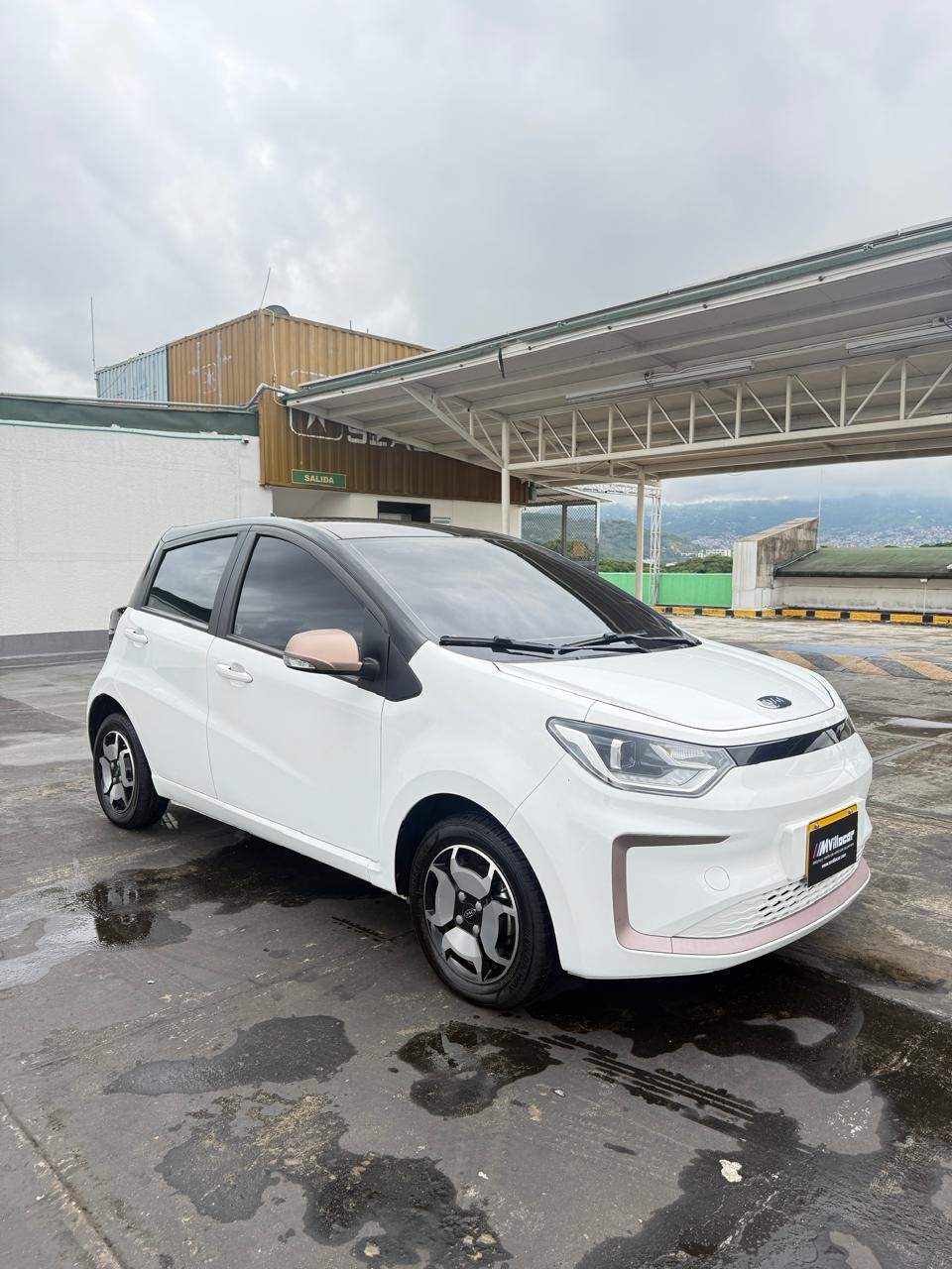 WhatsApp Image 2025-12-26 at 1.22.17 PM (3)