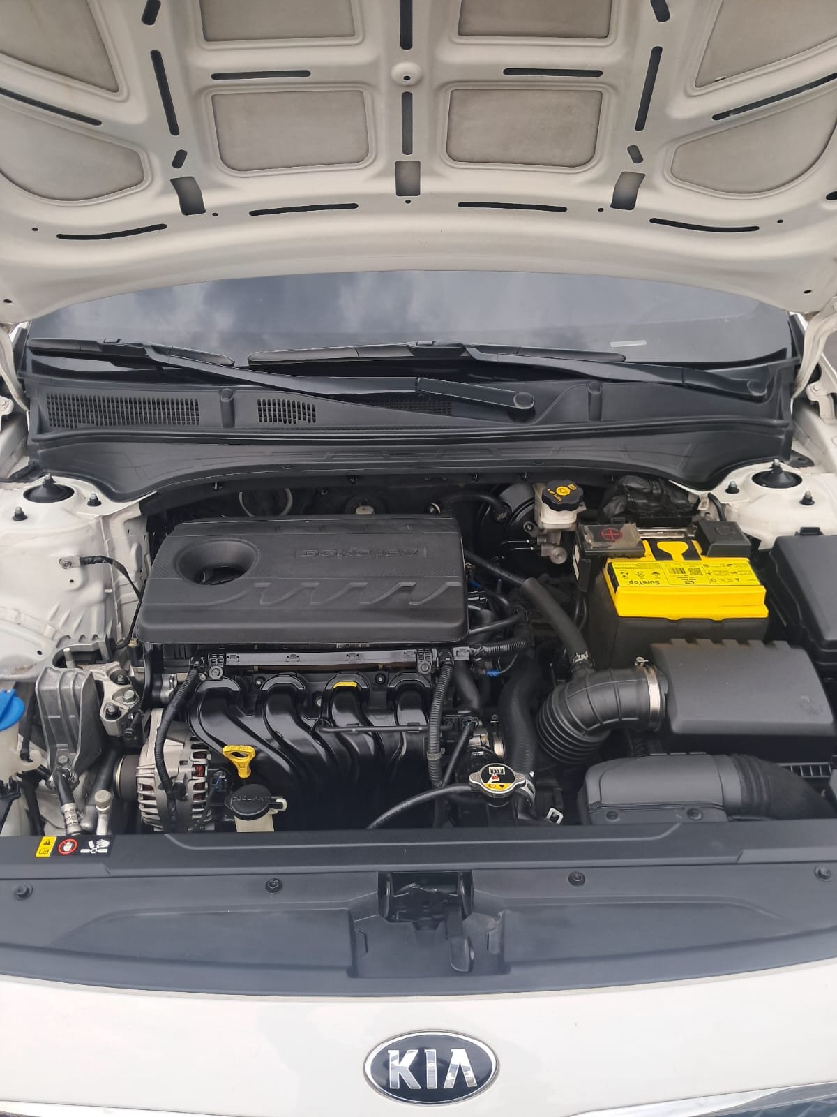 WhatsApp Image 2026-01-19 at 11.12.20 AM (1)