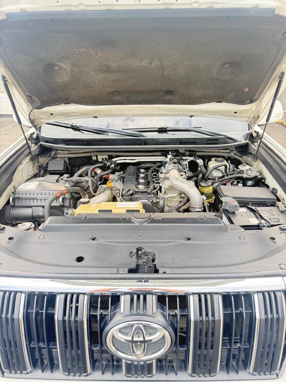 WhatsApp Image 2026-01-19 at 11.47.43 AM (4)