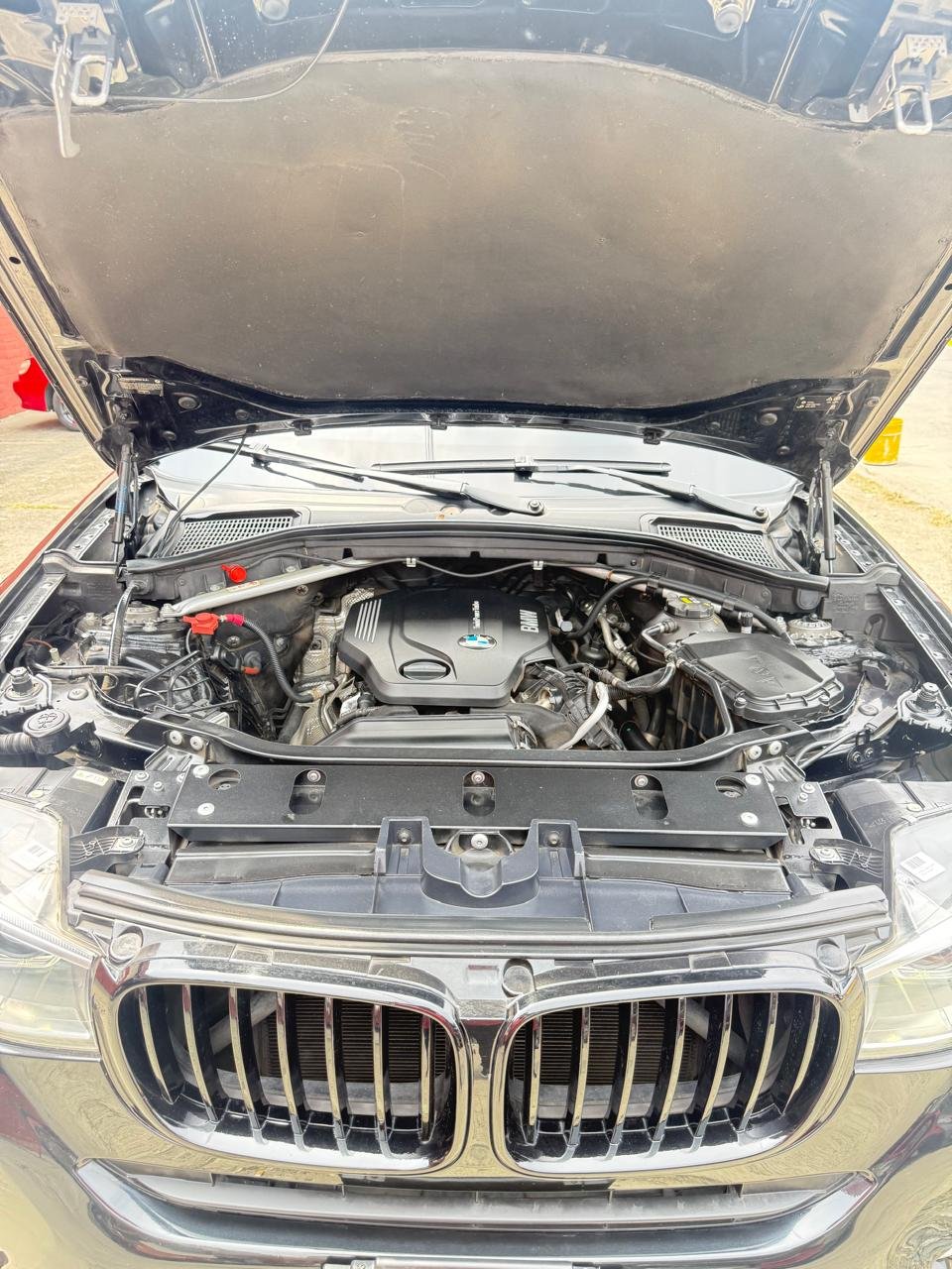 WhatsApp Image 2026-02-16 at 4.09.35 PM